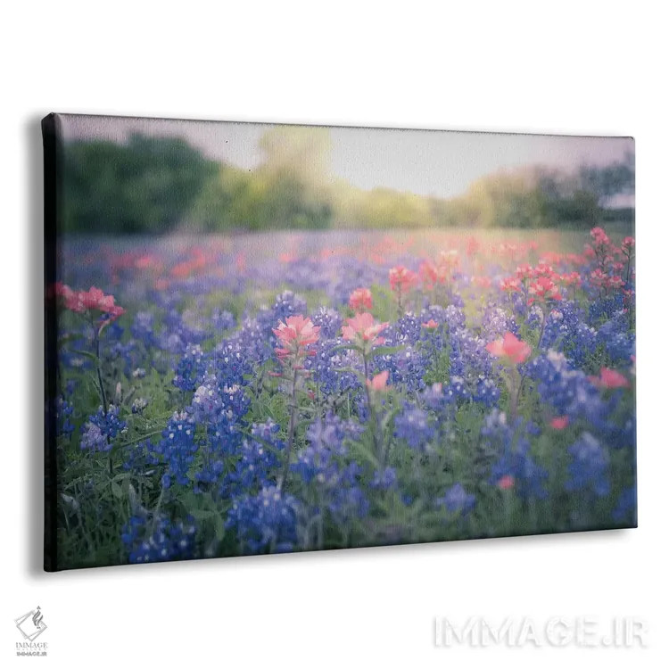 تابلو گلهای آبی بلو بانت تگزاس اثر آن هادک - نمای پرسپکتیو محصول