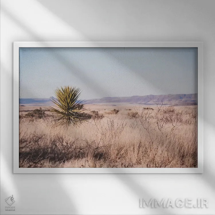 تابلو غرب وحشی (دوران و فضای وسترن آمریکا) اثر آن هادک - نمای قابدار سفید