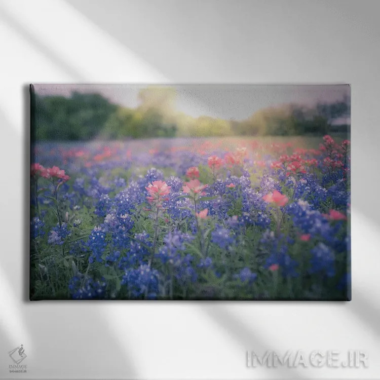 تابلو گلهای آبی بلو بانت تگزاس اثر آن هادک - نمای روبهرو روی دیوار