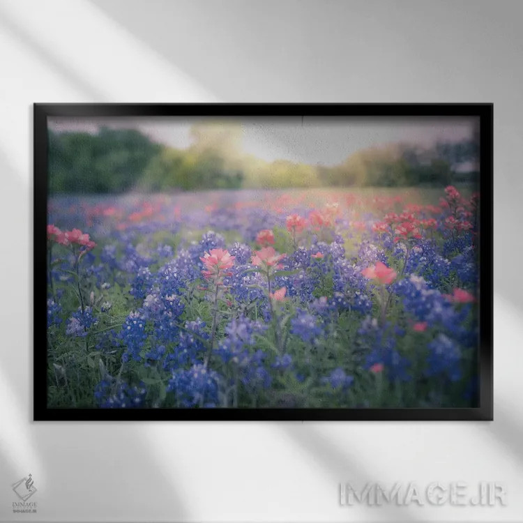 تابلو گلهای آبی بلو بانت تگزاس اثر آن هادک - نمای قابدار مشکی