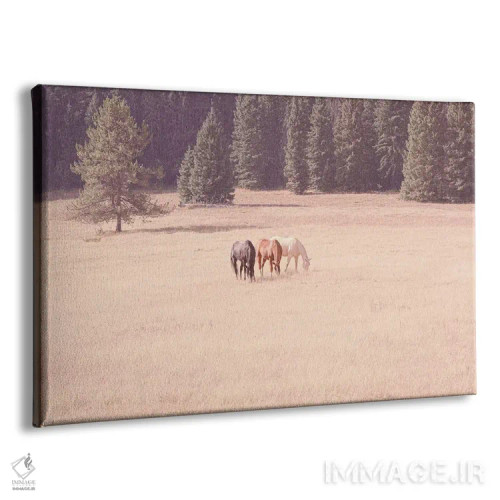 تابلو اسبهای مونتانا اثر آن هادک - نمای پرسپکتیو محصول