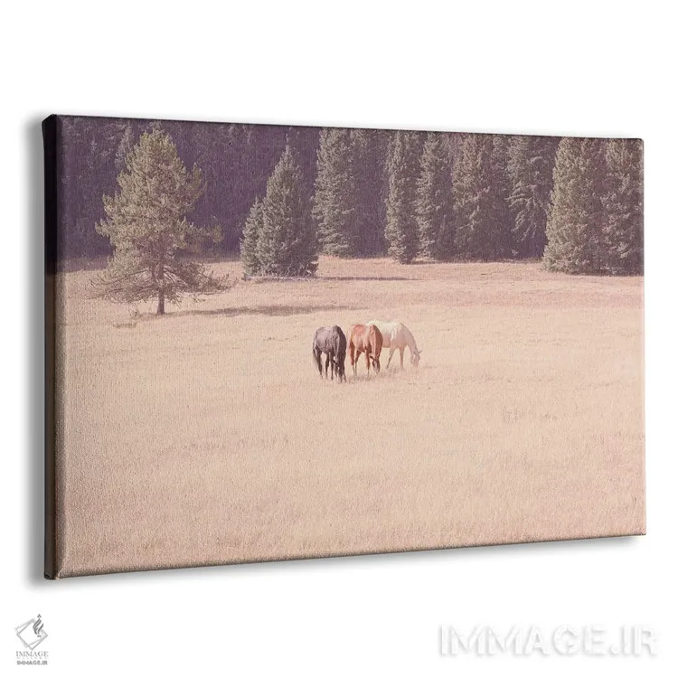 تابلو اسبهای مونتانا اثر آن هادک - نمای پرسپکتیو محصول