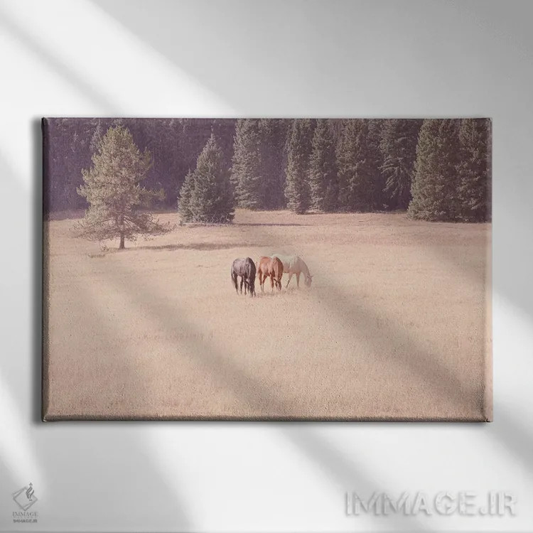 تابلو اسبهای مونتانا اثر آن هادک - نمای روبهرو روی دیوار