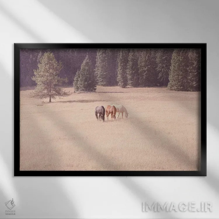 تابلو اسبهای مونتانا اثر آن هادک - نمای قابدار مشکی