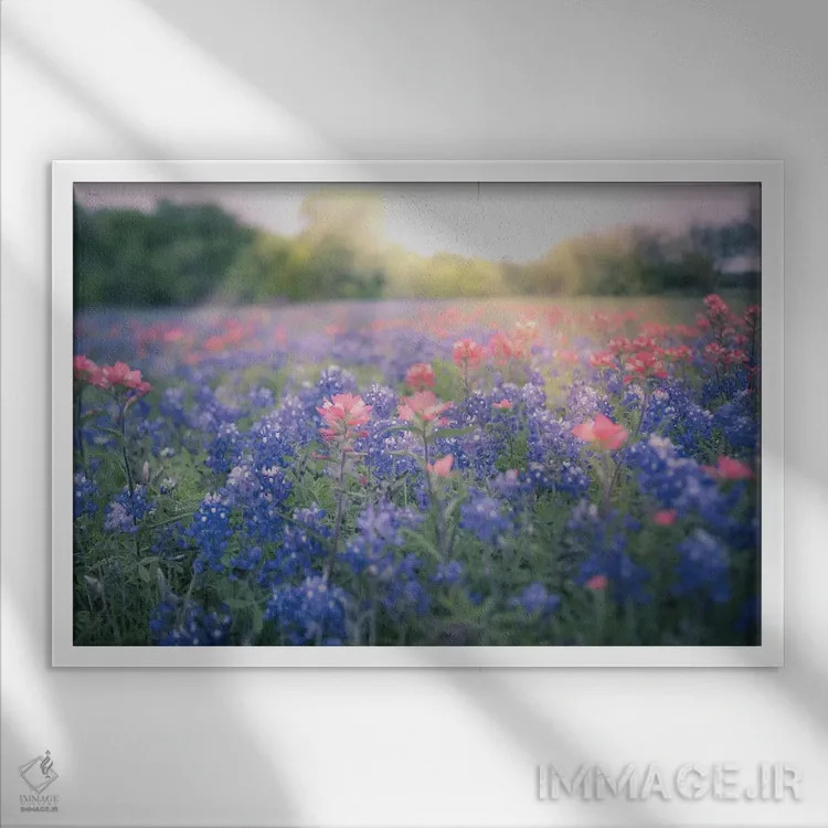 تابلو گلهای آبی بلو بانت تگزاس اثر آن هادک - نمای قابدار سفید
