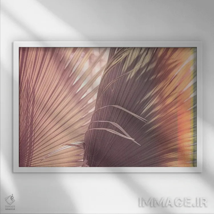 تابلو تابستان استوایی اثر آن هادک - نمای قابدار سفید