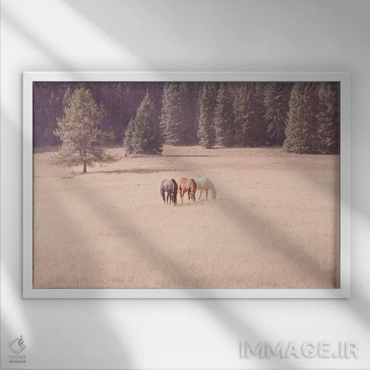تابلو اسبهای مونتانا اثر آن هادک - نمای قابدار سفید