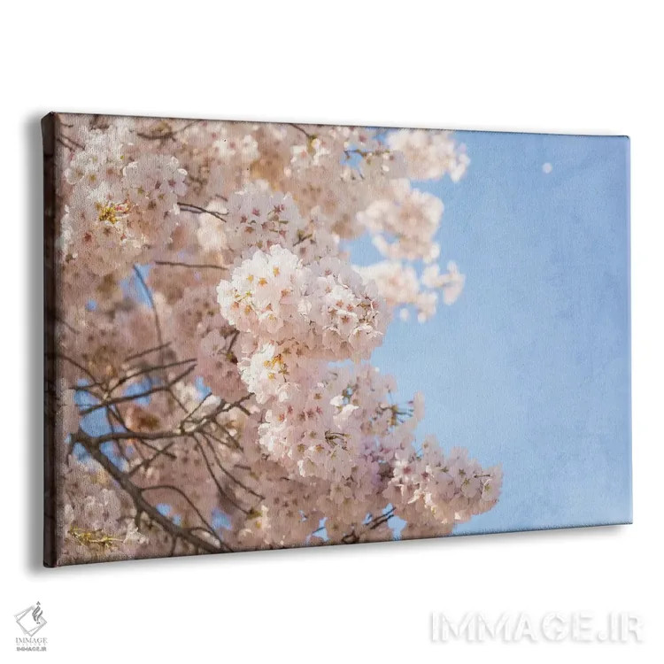 تابلو شکوفههای گیلاس اثر آن هادک - نمای پرسپکتیو محصول