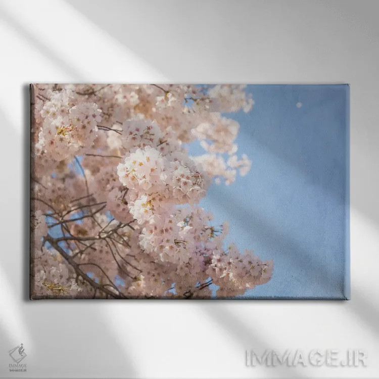 تابلو شکوفههای گیلاس اثر آن هادک - نمای روبهرو روی دیوار