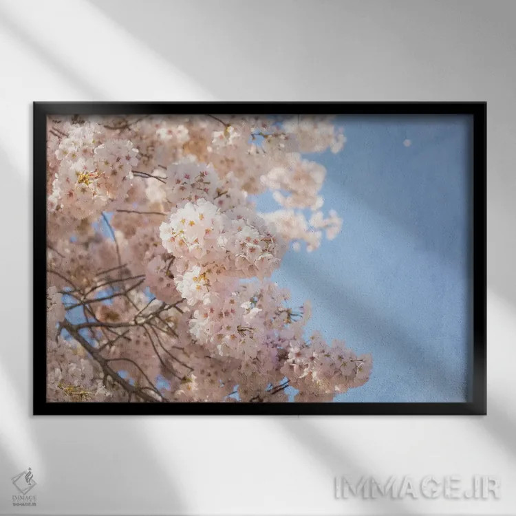 تابلو شکوفههای گیلاس اثر آن هادک - نمای قابدار مشکی