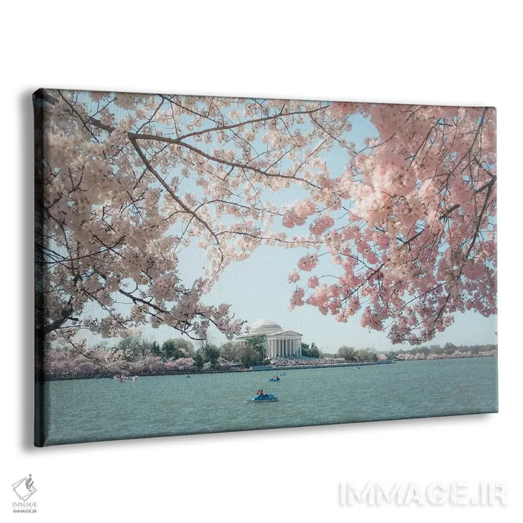 تابلو شکوفههای گیلاس واشینگتن دیسی اثر آن هادک - نمای پرسپکتیو محصول