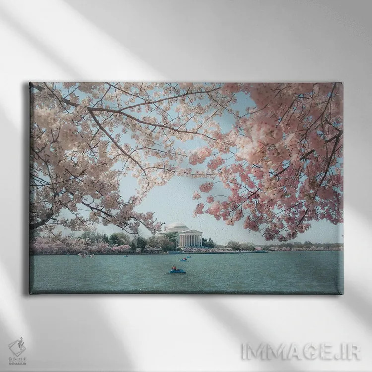 تابلو شکوفههای گیلاس واشینگتن دیسی اثر آن هادک - نمای روبهرو روی دیوار