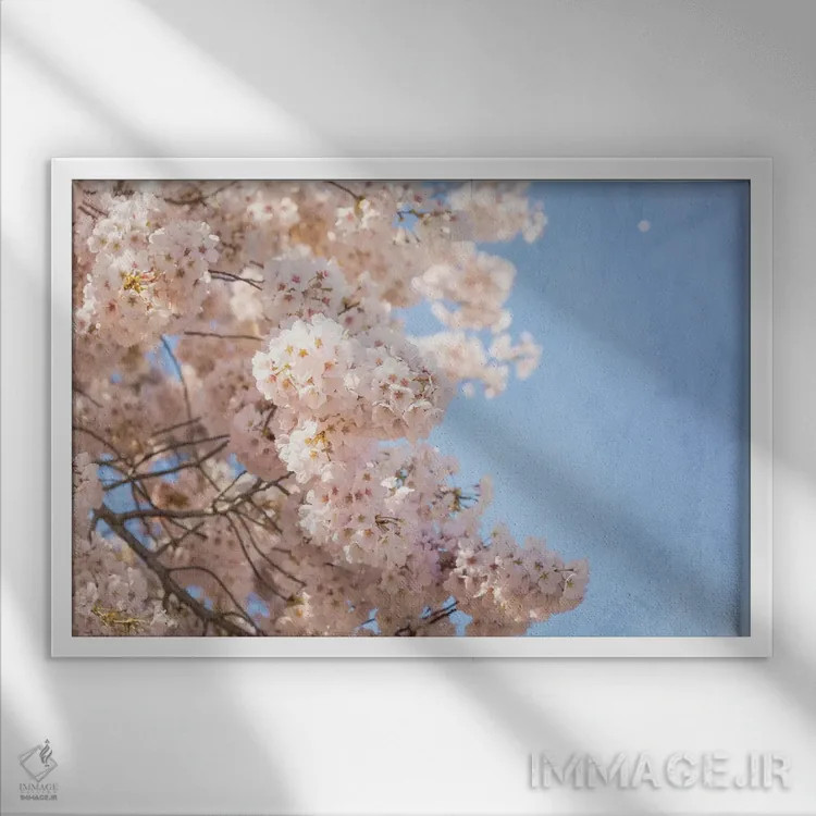 تابلو شکوفههای گیلاس اثر آن هادک - نمای قابدار سفید