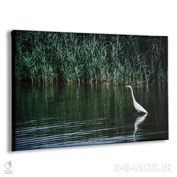 تابلو تنهایی اثر آن هادک - نمای پرسپکتیو محصول