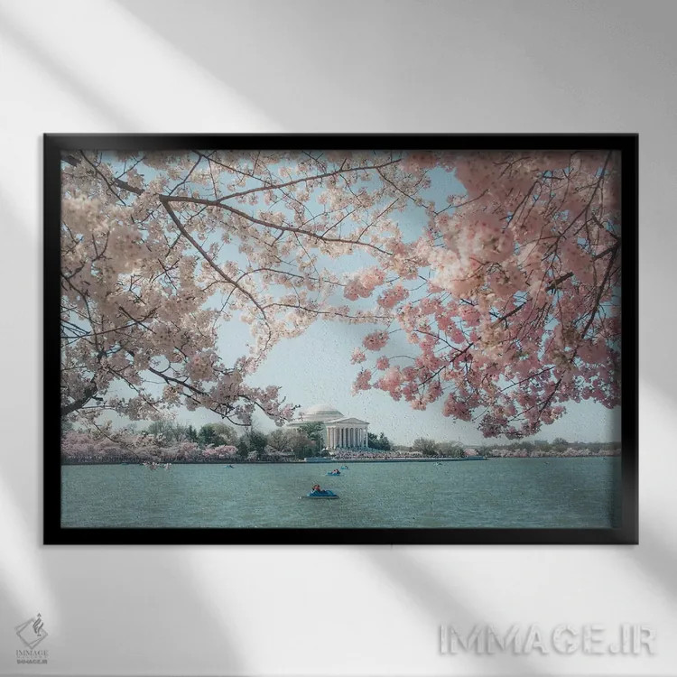 تابلو شکوفههای گیلاس واشینگتن دیسی اثر آن هادک - نمای قابدار مشکی