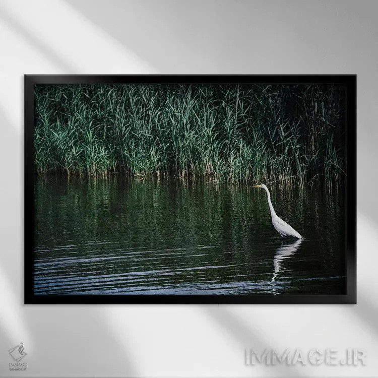 تابلو تنهایی اثر آن هادک - نمای قابدار مشکی