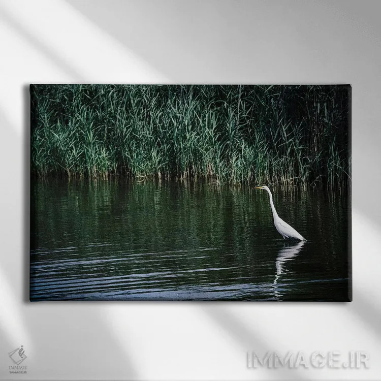 تابلو تنهایی اثر آن هادک - نمای روبهرو روی دیوار