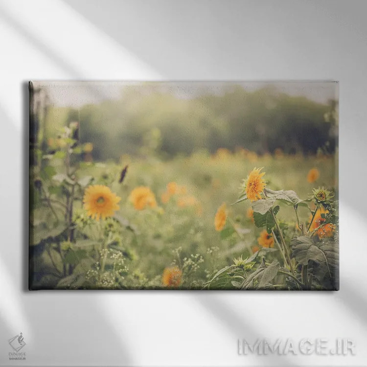 تابلو آفتابگردانهای خانه روستایی اثر آن هادک - نمای روبهرو روی دیوار