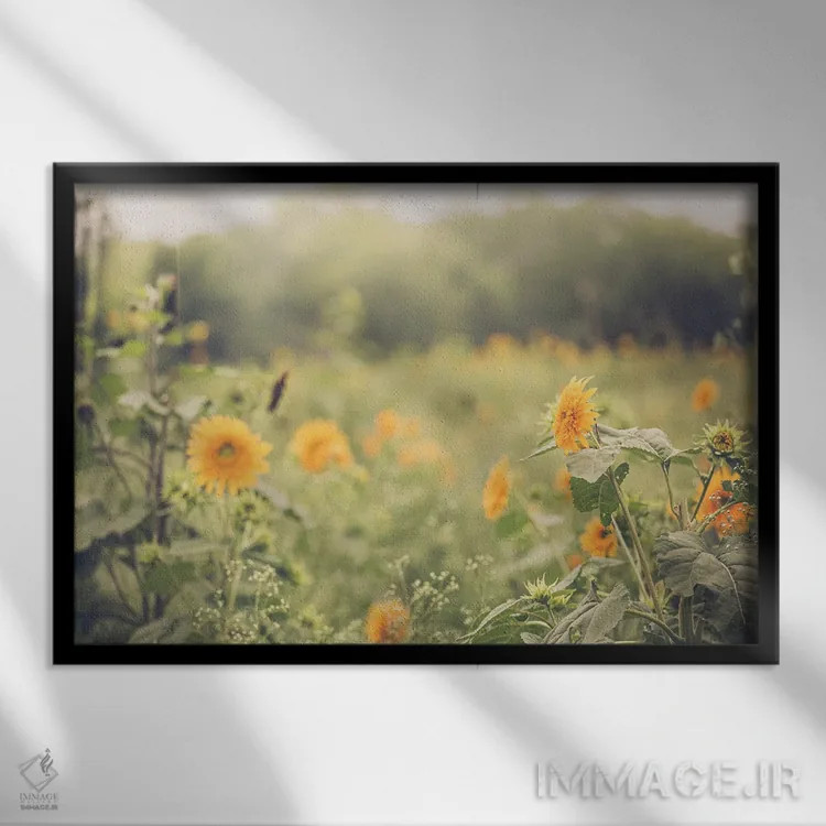 تابلو آفتابگردانهای خانه روستایی اثر آن هادک - نمای قابدار مشکی