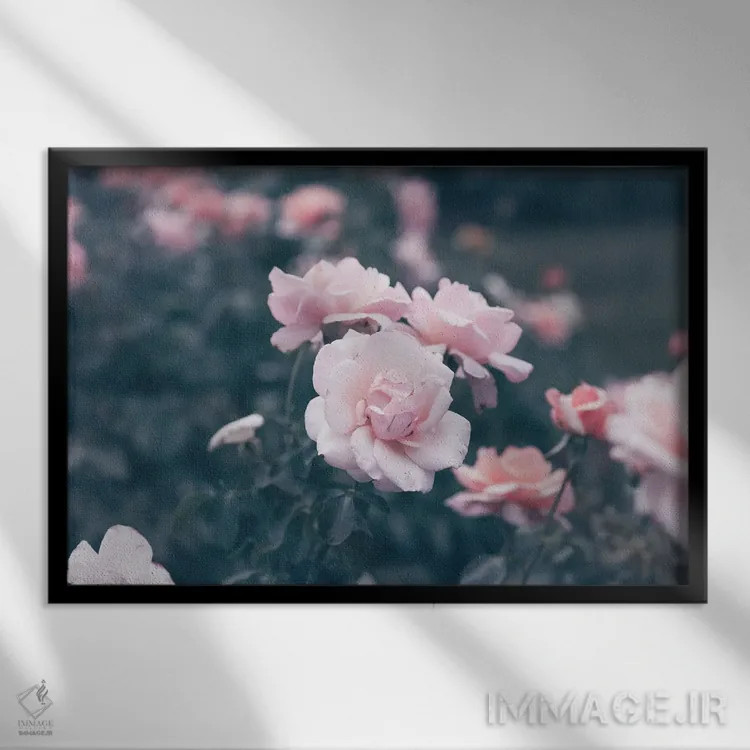 تابلو ژستهای عاشقانه صورتی اثر آن هادک - نمای قابدار مشکی