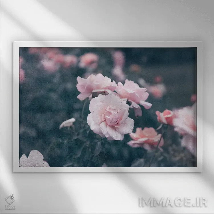 تابلو ژستهای عاشقانه صورتی اثر آن هادک - نمای قابدار سفید