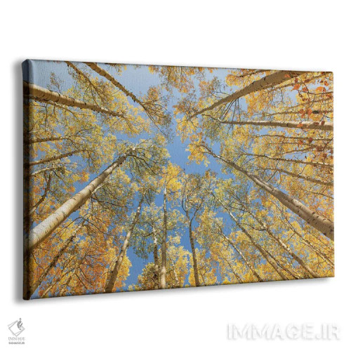 تابلو رو به بالا نگاه کردن اثر آن هادک - نمای پرسپکتیو محصول