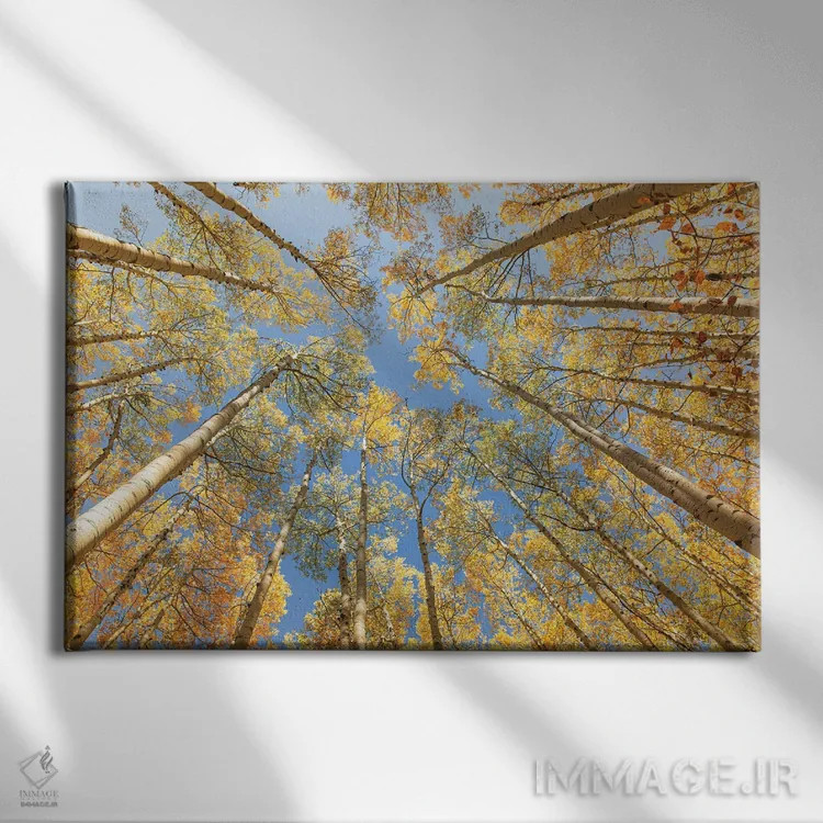 تابلو رو به بالا نگاه کردن اثر آن هادک - نمای روبهرو روی دیوار