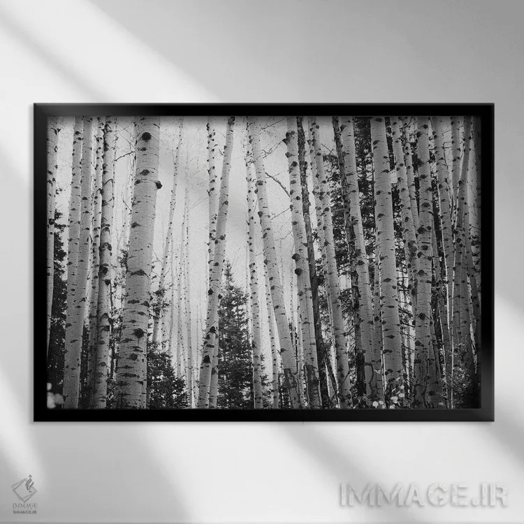 تابلو آسپنهای زمستانی با دکور روستایی سیاه و سفید اثر آن هادک - نمای قابدار مشکی
