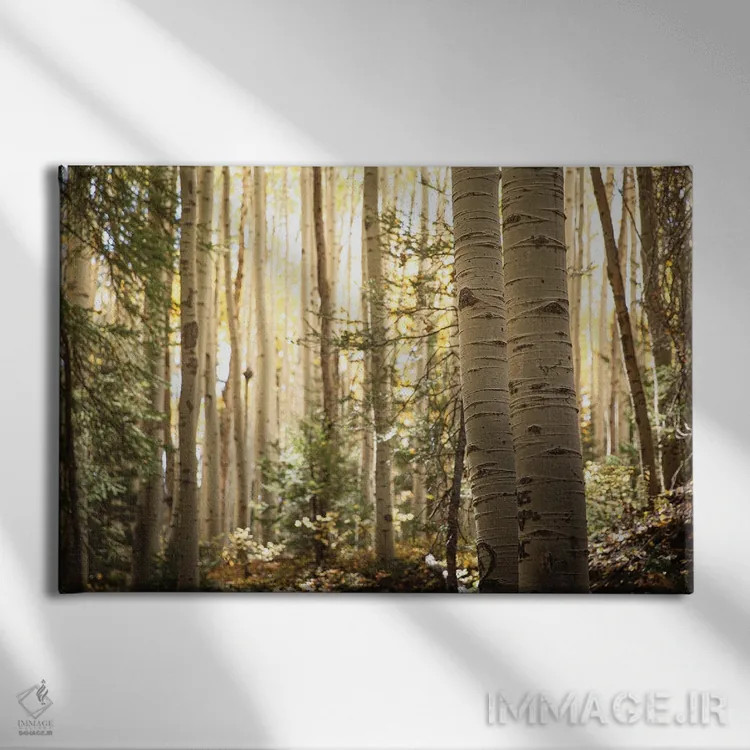 تابلو نور صبحگاهی در بیشه آسپن II اثر آن هادک - نمای روبهرو روی دیوار
