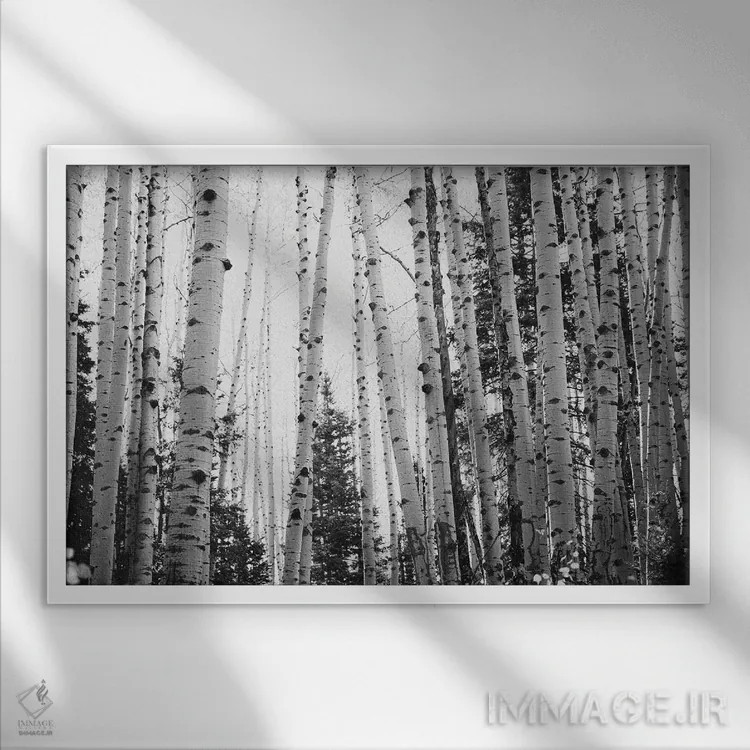 تابلو آسپنهای زمستانی با دکور روستایی سیاه و سفید اثر آن هادک - نمای قابدار سفید