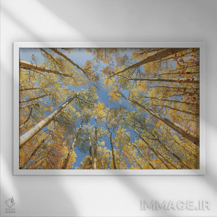 تابلو رو به بالا نگاه کردن اثر آن هادک - نمای قابدار سفید