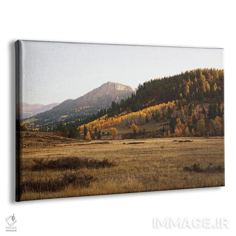 تابلو پاییز رنگارنگ کلرادو در کوهستان II اثر آن هادک - نمای پرسپکتیو محصول