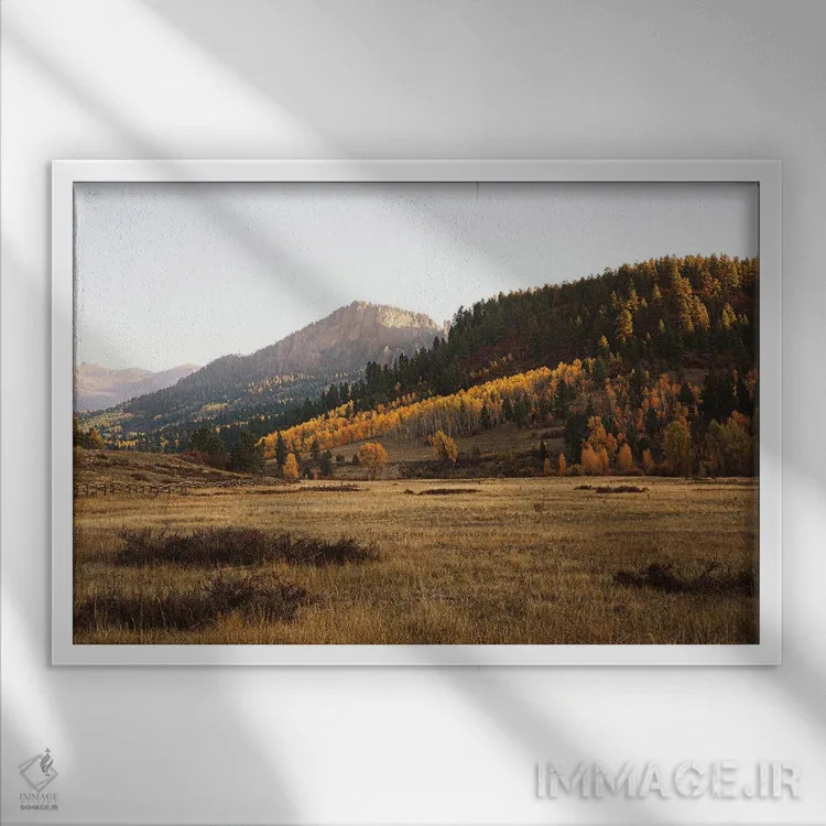 تابلو پاییز رنگارنگ کلرادو در کوهستان II اثر آن هادک - نمای قابدار سفید