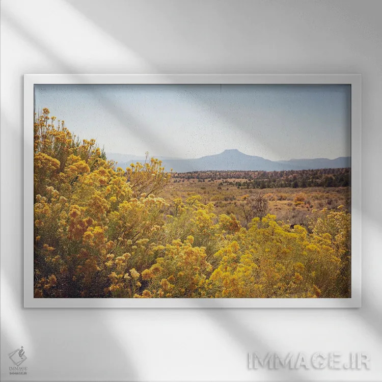 تابلو طلای نیومکزیکو اثر آن هادک - نمای قابدار سفید