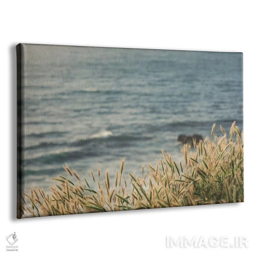 تابلو رنگهای ساحلی اثر آن هادک - نمای پرسپکتیو محصول