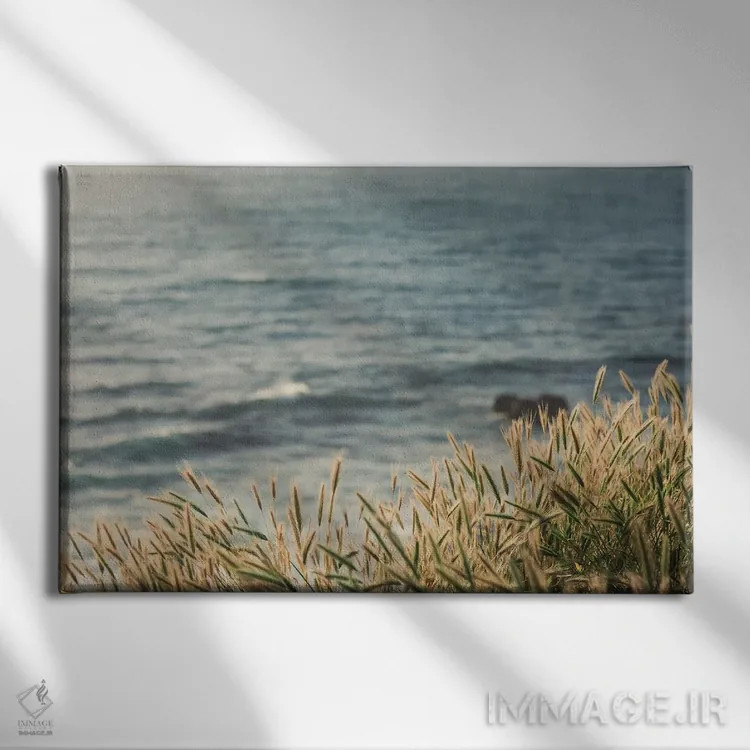 تابلو رنگهای ساحلی اثر آن هادک - نمای روبهرو روی دیوار