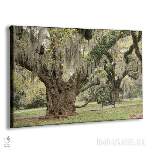 تابلو پارک شهری نیواورلئان I اثر آن هادک - نمای پرسپکتیو محصول