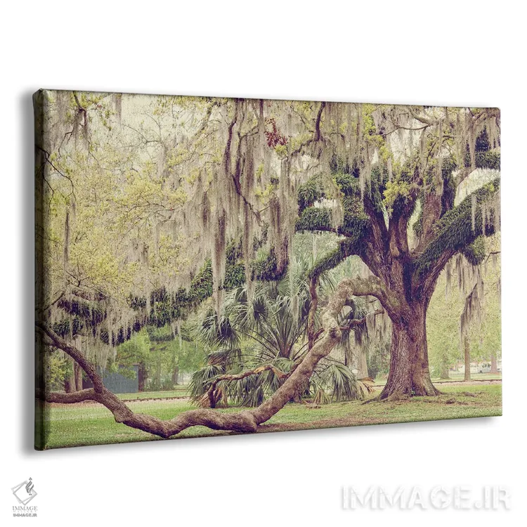 تابلو پارک شهری نیواورلئان II اثر آن هادک - نمای پرسپکتیو محصول