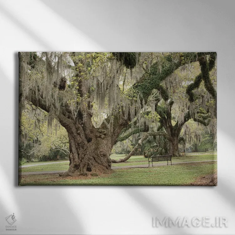 تابلو پارک شهری نیواورلئان I اثر آن هادک - نمای روبهرو روی دیوار
