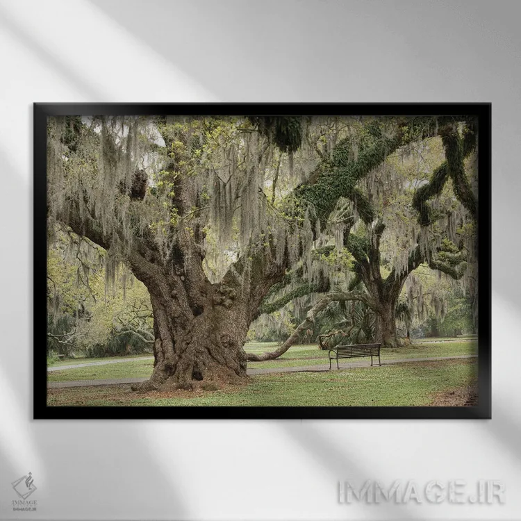 تابلو پارک شهری نیواورلئان I اثر آن هادک - نمای قابدار مشکی