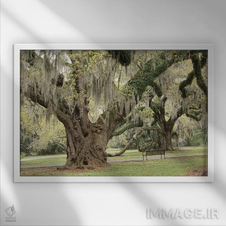 تابلو پارک شهری نیواورلئان I اثر آن هادک - نمای قابدار سفید