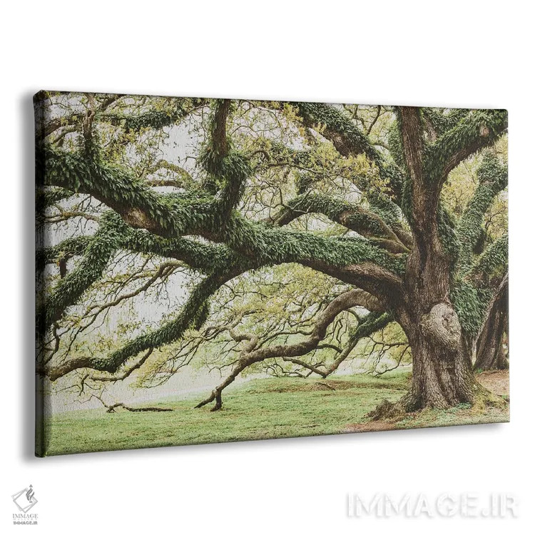 تابلو پارک آدوبون نیواورلئان I اثر آن هادک - نمای پرسپکتیو محصول