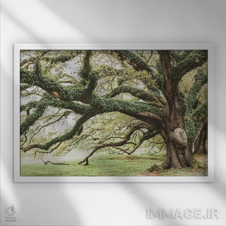 تابلو پارک آدوبون نیواورلئان I اثر آن هادک - نمای قابدار سفید