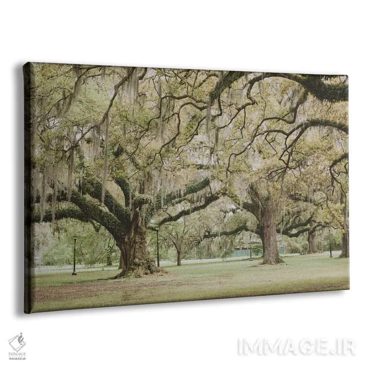 تابلو پارک آدوبون نیواورلئان III اثر آن هادک - نمای پرسپکتیو محصول
