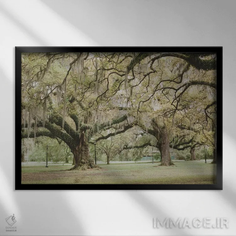 تابلو پارک آدوبون نیواورلئان III اثر آن هادک - نمای قابدار مشکی