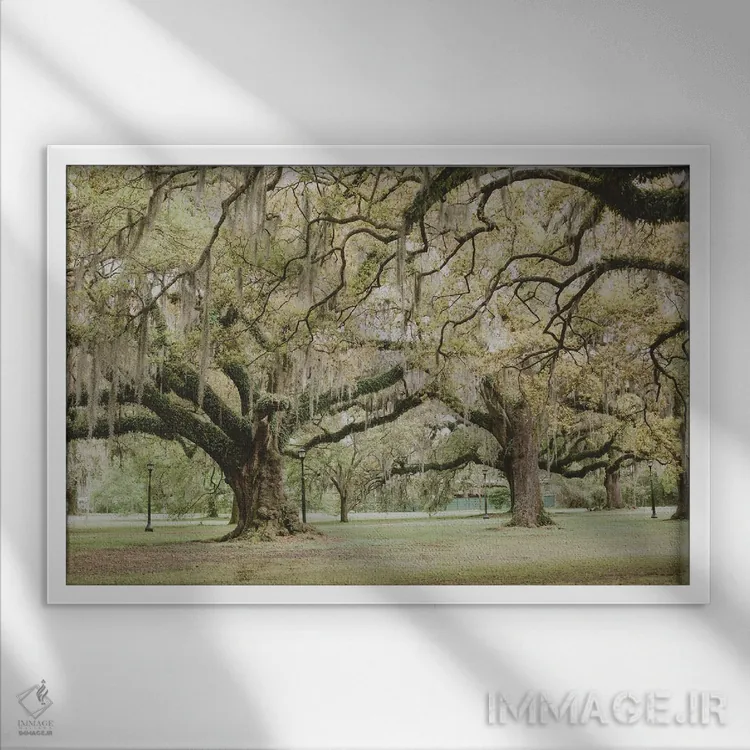 تابلو پارک آدوبون نیواورلئان III اثر آن هادک - نمای قابدار سفید