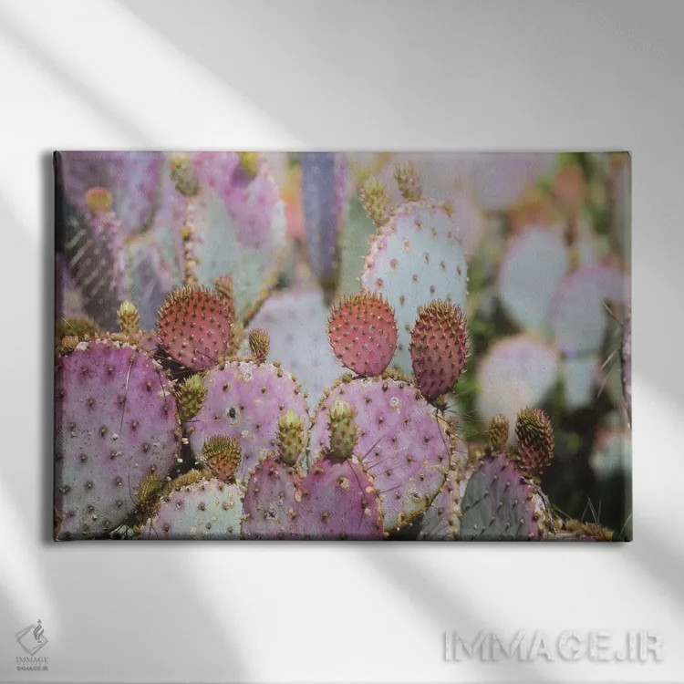 تابلو کاکتوسهای پشمکی اثر آن هادک - نمای روبهرو روی دیوار