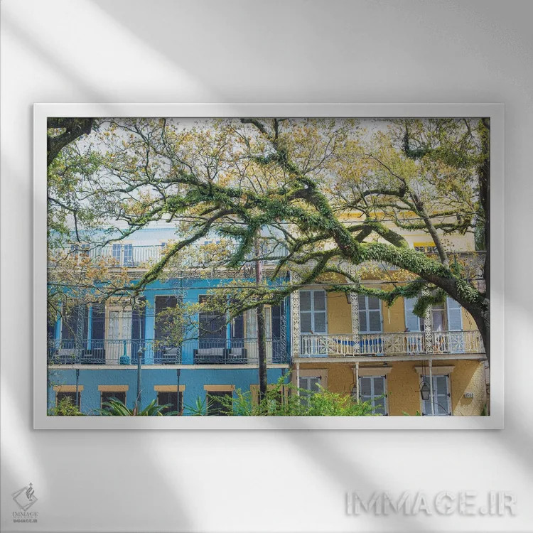 تابلو خیابان اسپلاناد نیواورلئان اثر آن هادک - نمای قابدار سفید