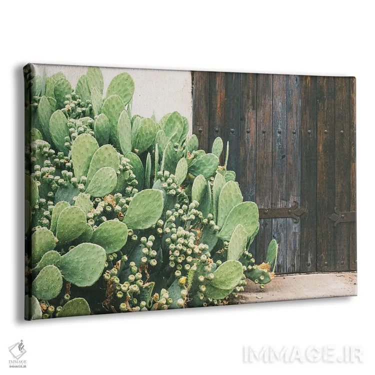 تابلو رنگهای غرب تگزاس اثر آن هادک - نمای پرسپکتیو محصول