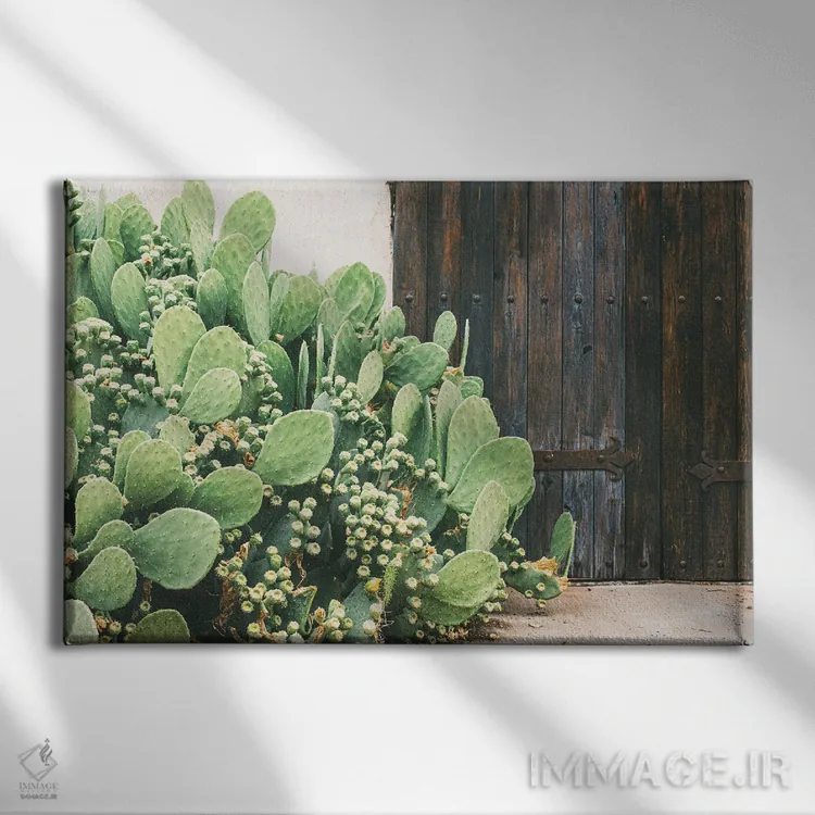 تابلو رنگهای غرب تگزاس اثر آن هادک - نمای روبهرو روی دیوار